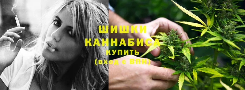 купить наркотик  Малая Вишера  Канабис Ganja 